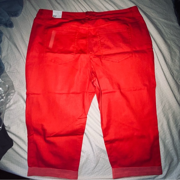 nwt lane bryant pants - Picture 2 of 6